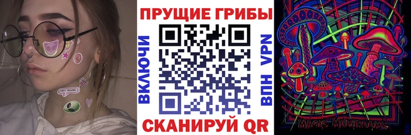 Галлюциногенные грибы MAGIC MUSHROOMS  Родники 